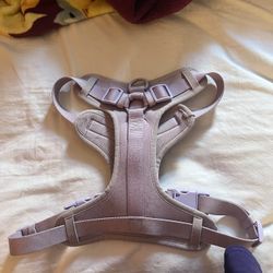 Dog Harness & Leash 