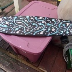 Skate Board  Hand Psinted