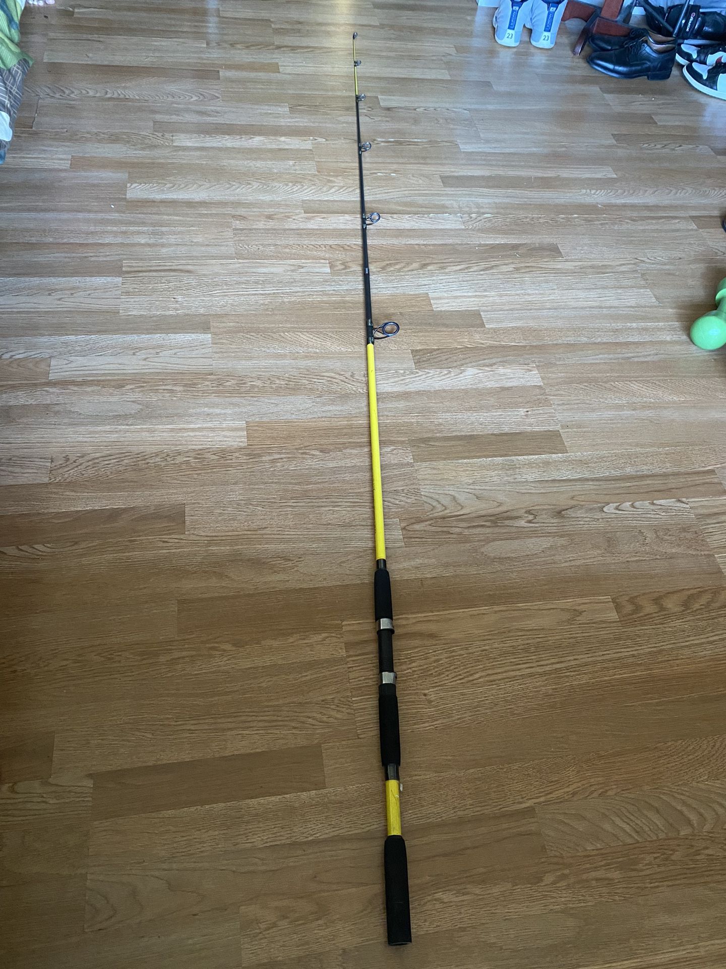 1 Fishing Pole $30