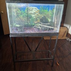 Aquarium With Stand