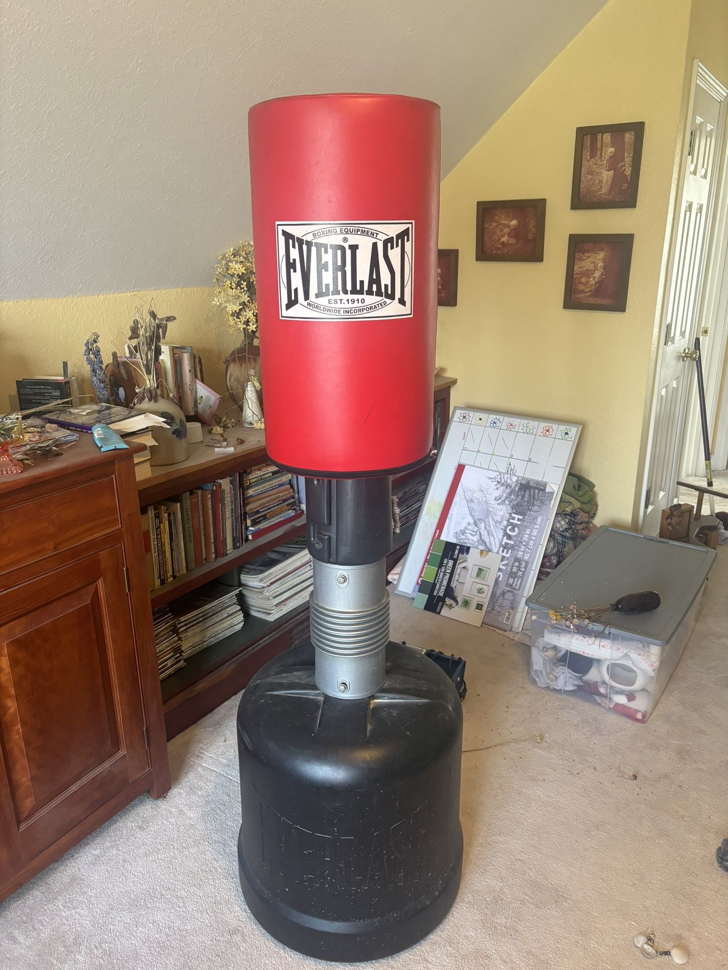 Standing Punching Bag