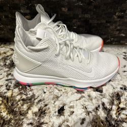 Lebron whitness Sz 10