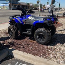 Atv300cc