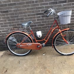Timaon   CXT Super Classic  Cruiser (collectible)