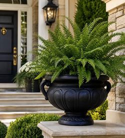 Black Fiberglass Urn Planter