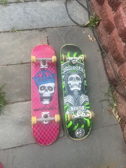 RYAN SHECKLER AND CHRIS COLE ZERO SKATEBOARDS 