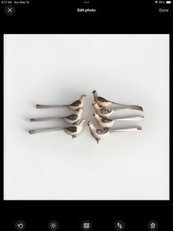 Vintage 1950s Flocked Glitter Clip On Birds Japan (8)
