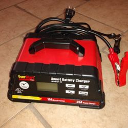 battery charger, connects to 110 volt power