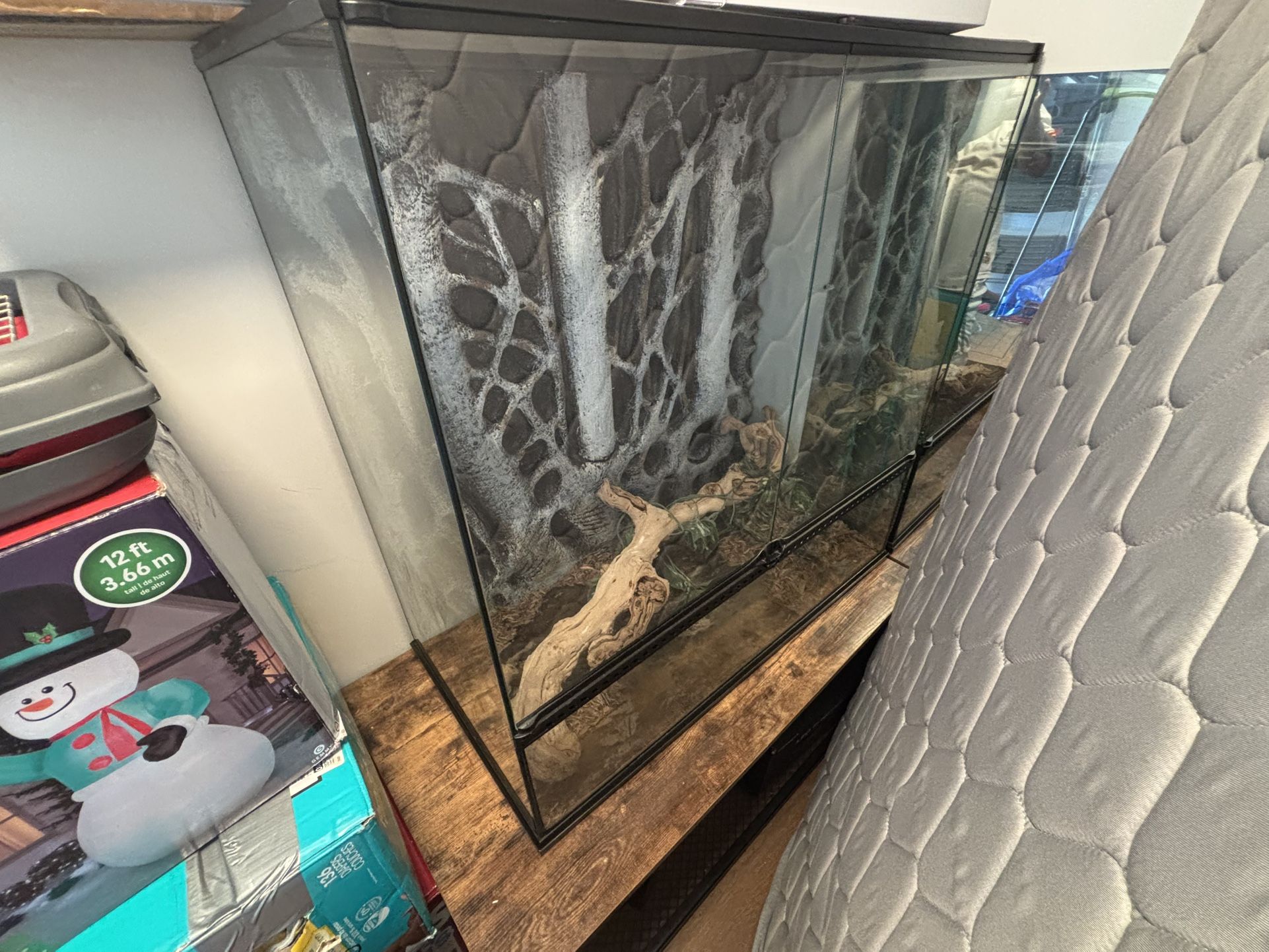 Large Reptile Tank
