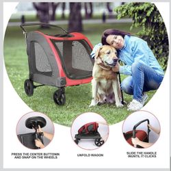 PET Stroller