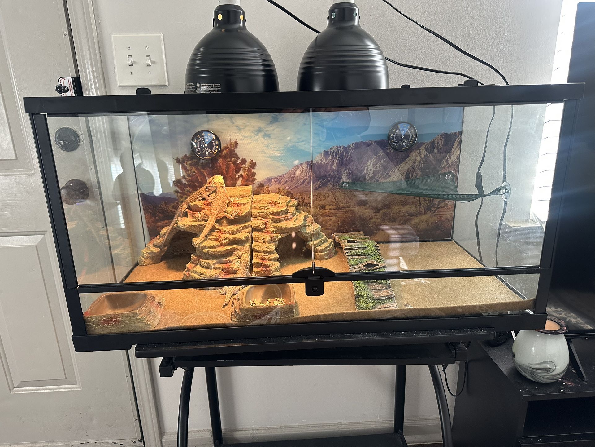 40 Gallon Tank For Reptiles, Accessories and Beardies Included