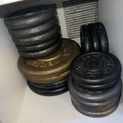 standard weights plates gym exercise 