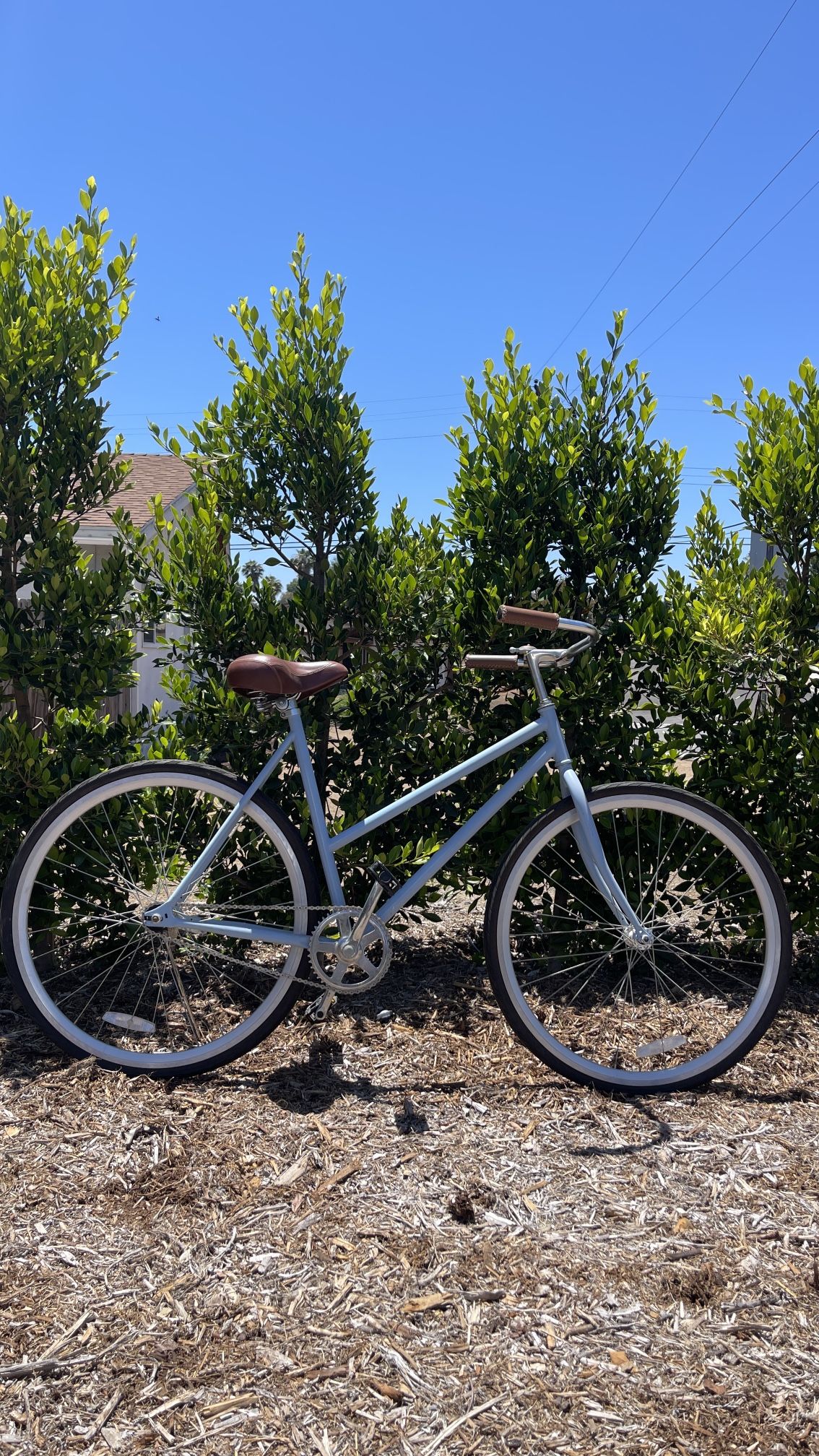 Beach Cruiser Bike