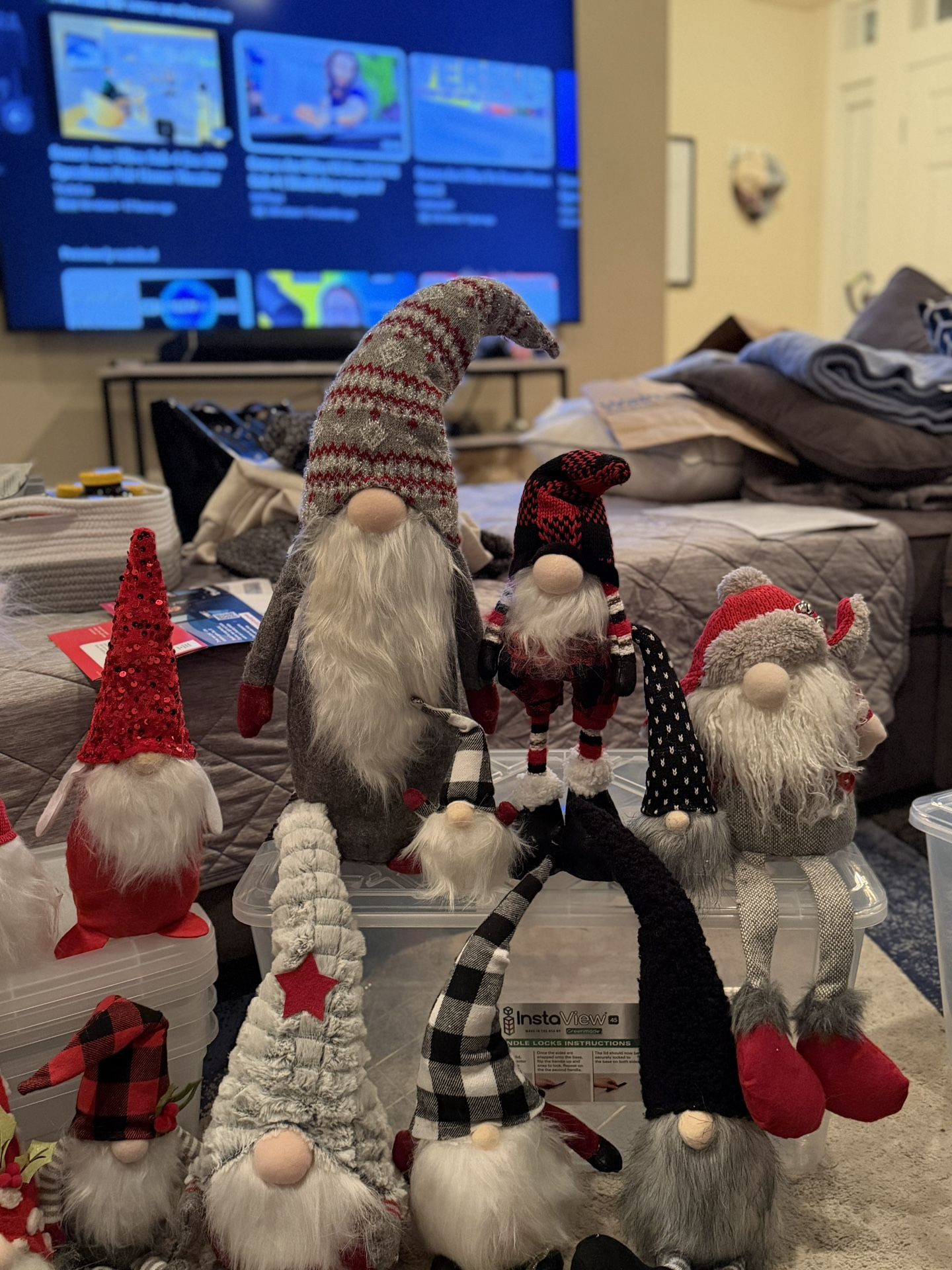 Gnomes and More gnomes 