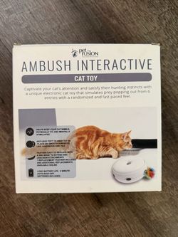 Cat Toy