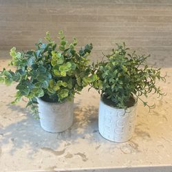 Two Small Fake Little Planters