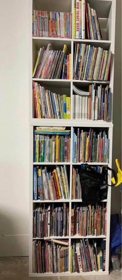 Bookshelf and Books