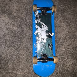 Complete Skateboard 
