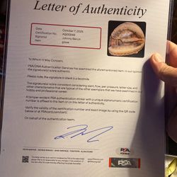Johnny Bench Signed Baseball Glove PSA Graded Certificate Of Authentication 