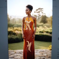 Elegant Velvet Brunt Orange Evening Gown 