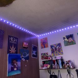 PAINTINGS NEED TO GO 