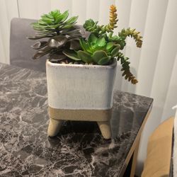 Fake Plant Decor