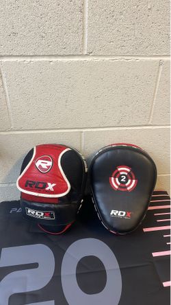 Boxing focus mitts