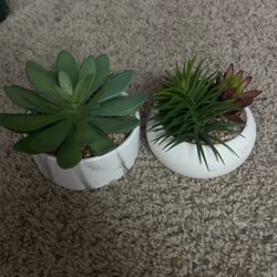 🌱FAKE PLANTS 🪴 