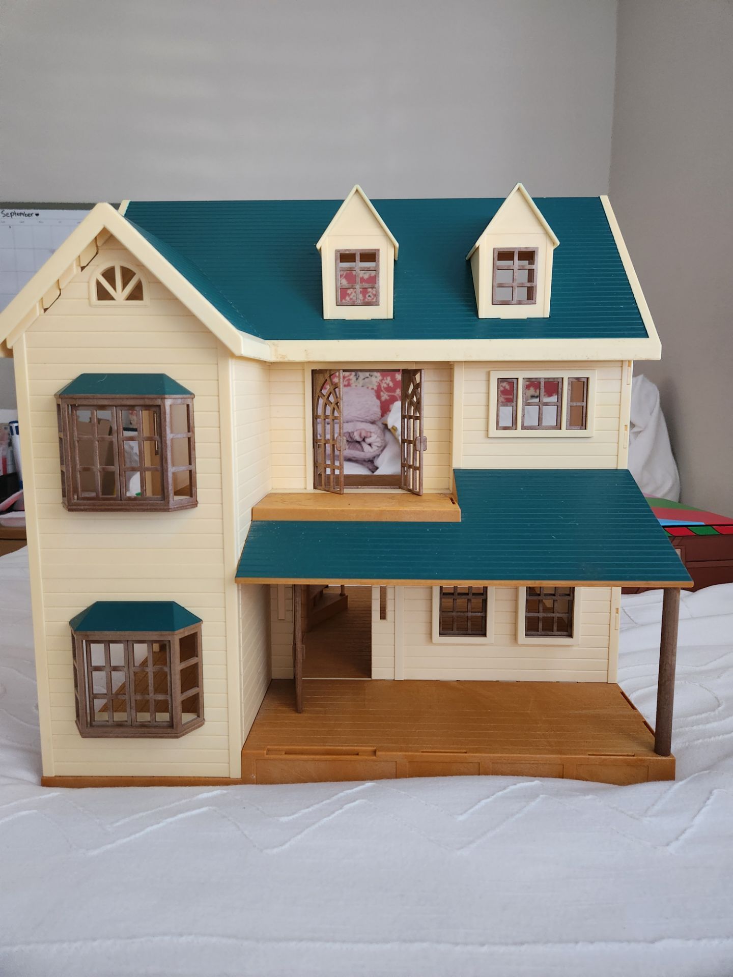Image #1