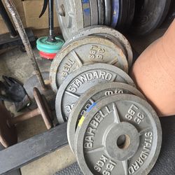 35lbs Olympic Weights