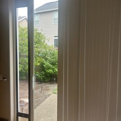 Doggie Door