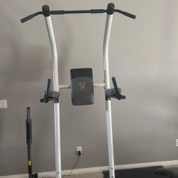 Chin Pull-up Dip Push-up Roman Chair Station Olympic Weight Barbell Dumbbell Gym