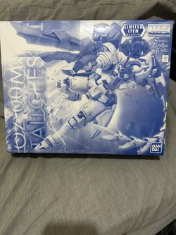 MG 1/100 Limited item Special Coating