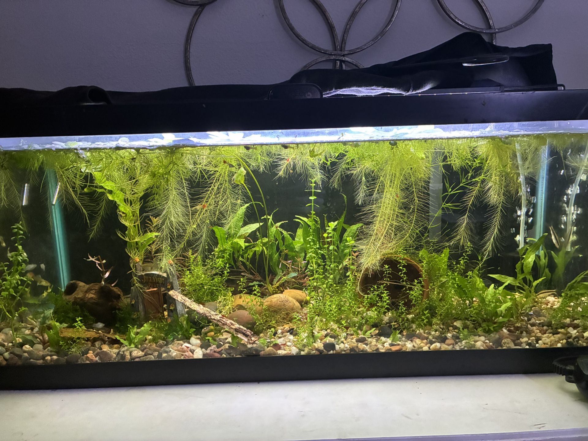 Fake Aquarium Decor