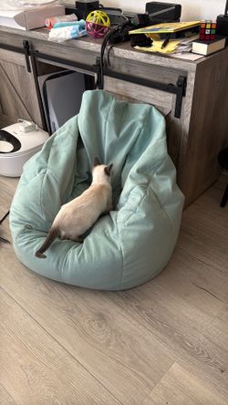 Beanbag chair