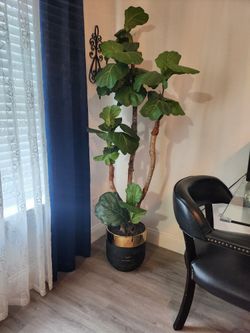 Plant Fake