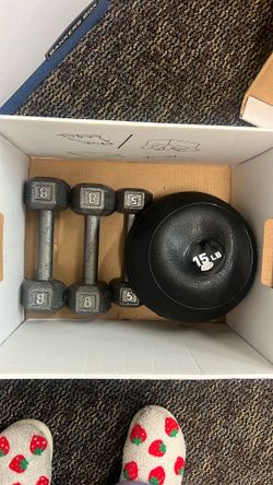 Dumbbells (15,10,8,5lbs)
