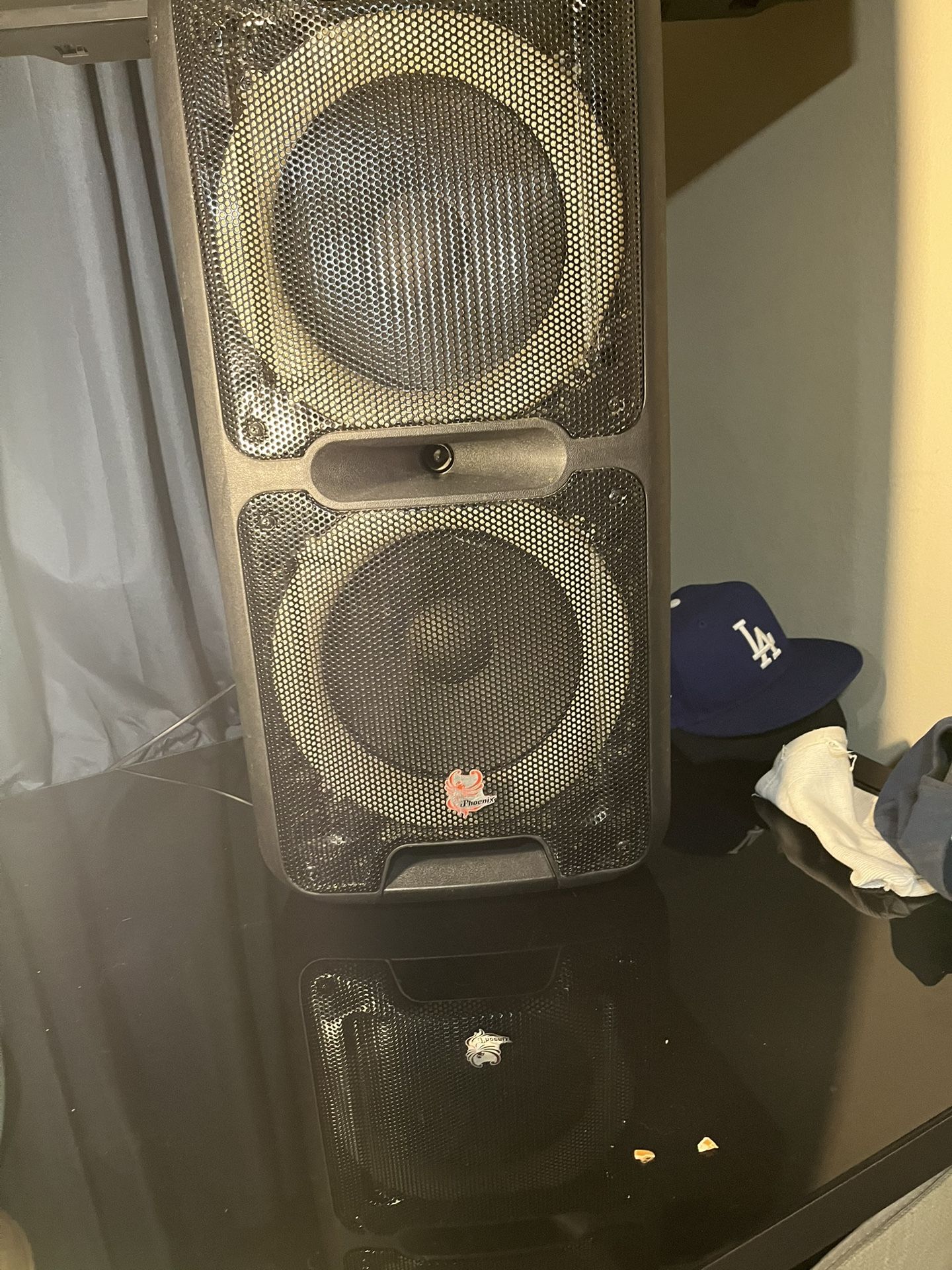 Karaoke Speaker