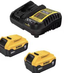 20V MAX Lithium-Ion Battery Starter Kit with 5.0 Ah Batteries (2-Pack)