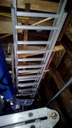 50 ft industrial commercial ladder