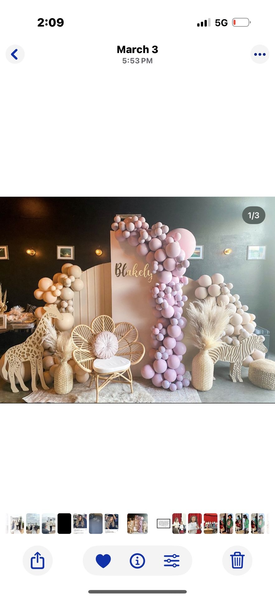 Balloon Garland