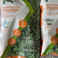 Grasss Seed
