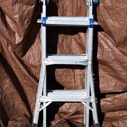 Adjustable Ladder