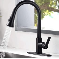 Matte Black Kitchen Faucet