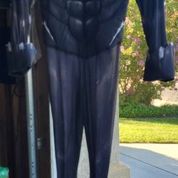 Black Panther Costume
