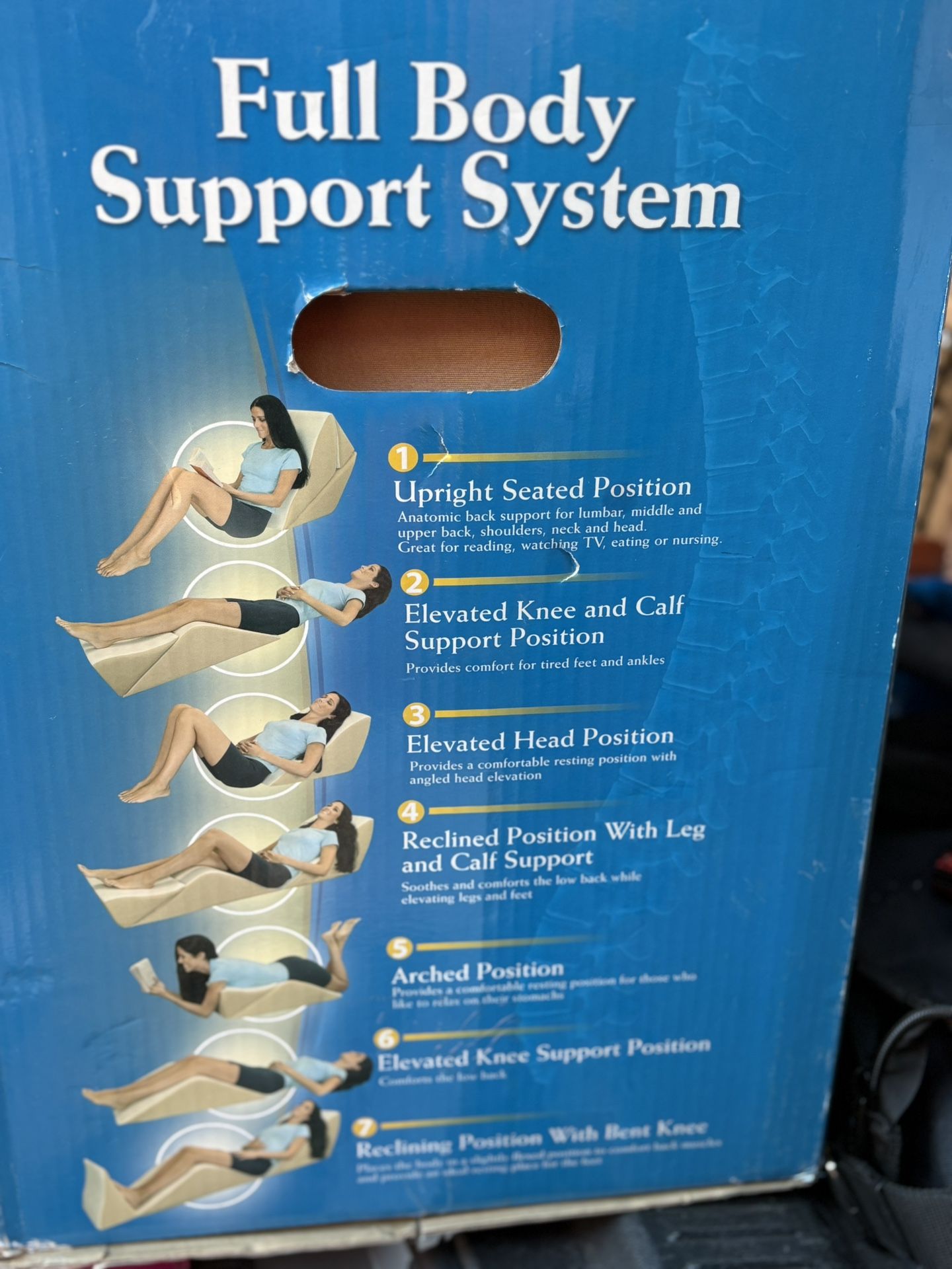 Full Body Support System