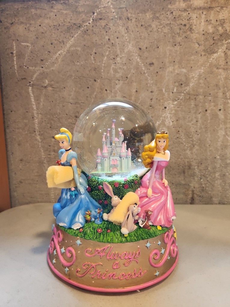 Snow Globe Disney Princess