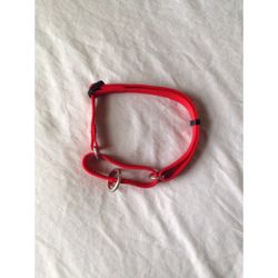 Red Dog Collar