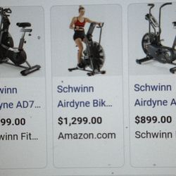 Schwinn airdyne  bike
