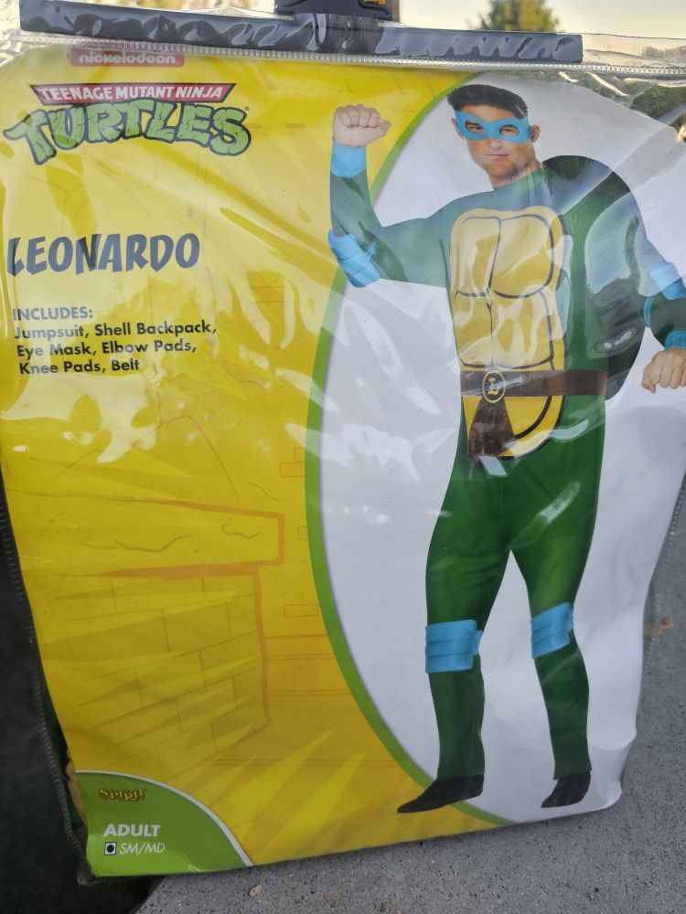 Adults  Teenage Mutant Ninja Turtles